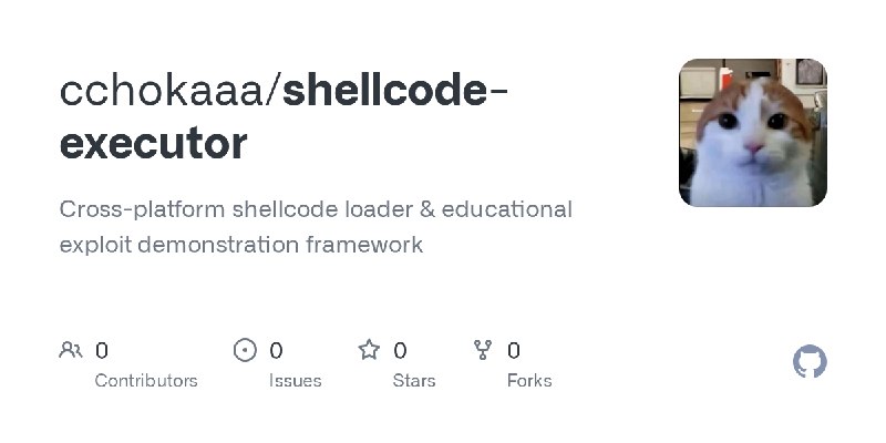 cchokaaa/shellcode-executor