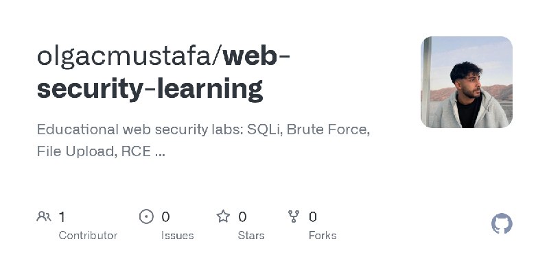 GitHub - olgacmustafa/web-security-learning: Educational web security labs: SQLi, Brute Force, File Upload, RCE ...