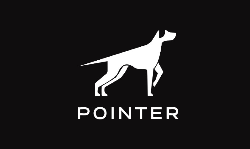 GitHub - shabarkin/pointer: Pointer was developed for massive hunting and mapping Cobalt Strike servers exposed on the internet.