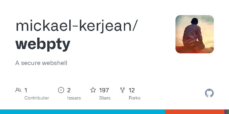 GitHub - mickael-kerjean/webpty: A secure webshell