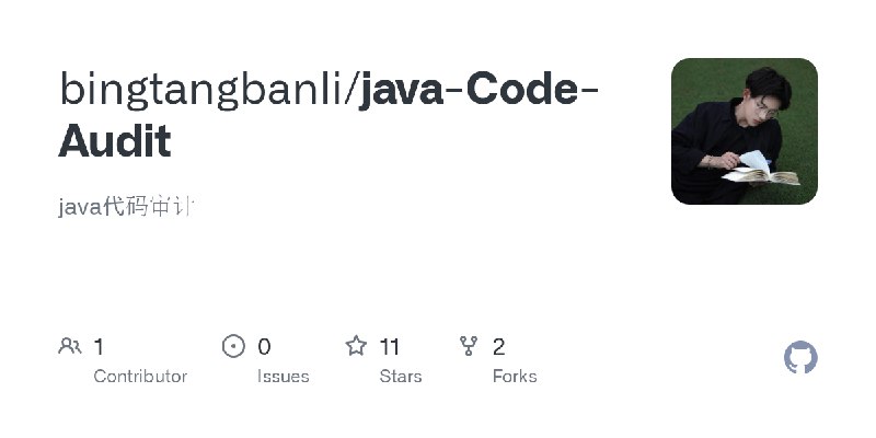 GitHub - bingtangbanli/java-Code-Audit: java代码审计