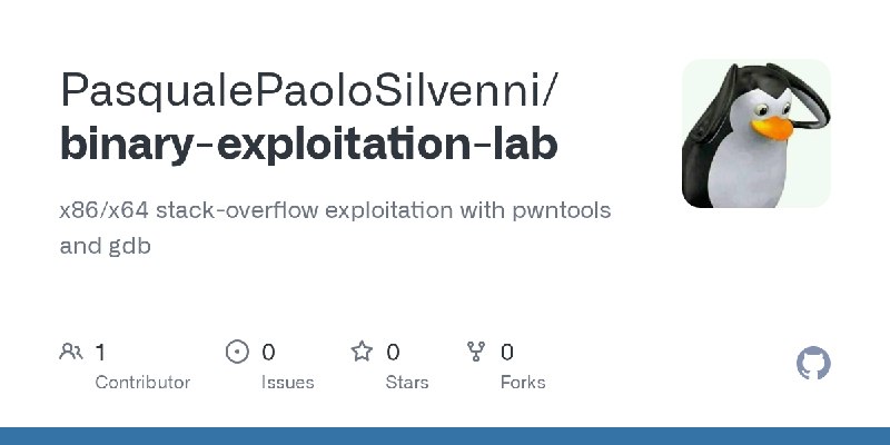 GitHub - PasqualePaoloSilvenni/binary-exploitation-lab: x86/x64 stack-overflow exploitation with pwntools and gdb