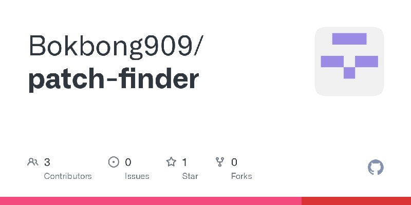 GitHub - Bokbong909/patch-finder