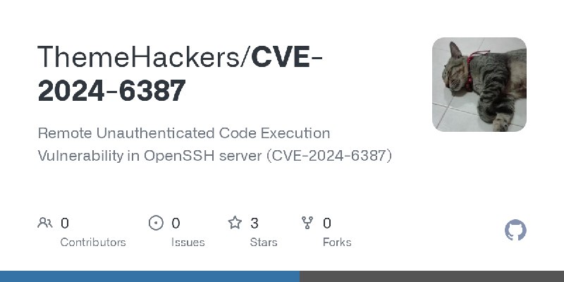 GitHub - ThemeHackers/CVE-2024-6387: Remote Unauthenticated Code Execution Vulnerability in OpenSSH server (CVE-2024-6387)