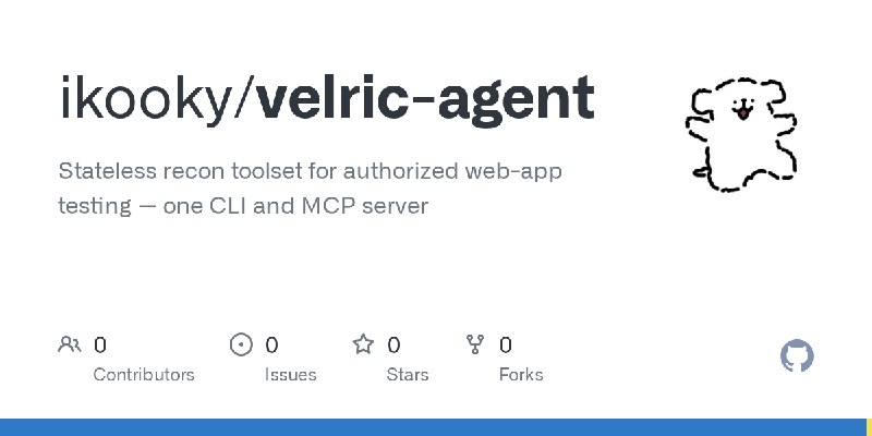GitHub - ikooky/velric-agent: Stateless recon toolset for authorized web-app testing — one CLI and MCP server