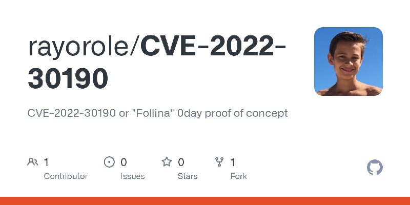 GitHub - rayorole/CVE-2022-30190: CVE-2022-30190 or 