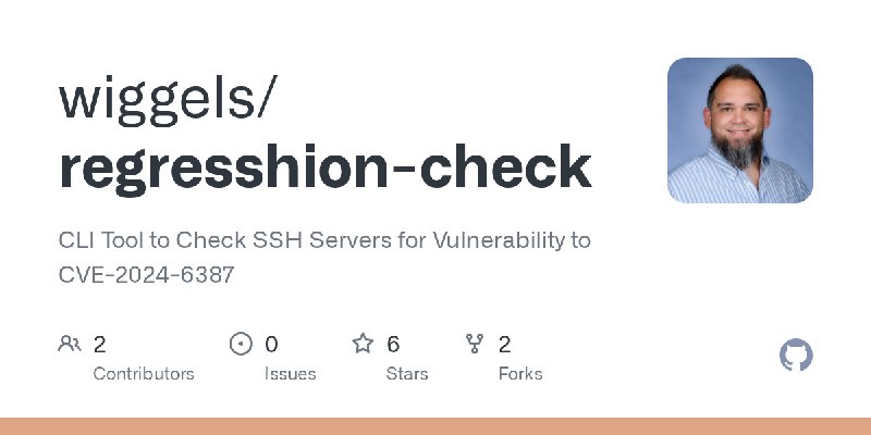 GitHub - wiggels/regresshion-check: CLI Tool to Check SSH Servers for Vulnerability to CVE-2024-6387