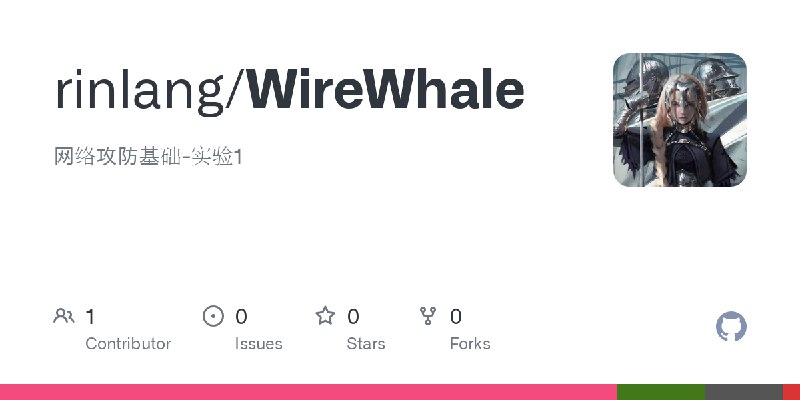 GitHub - rinlang/WireWhale: 网络攻防基础-实验1