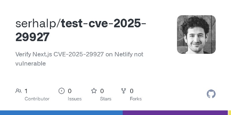 GitHub - serhalp/test-cve-2025-29927: Verify Next.js CVE-2025-29927 on Netlify not vulnerable