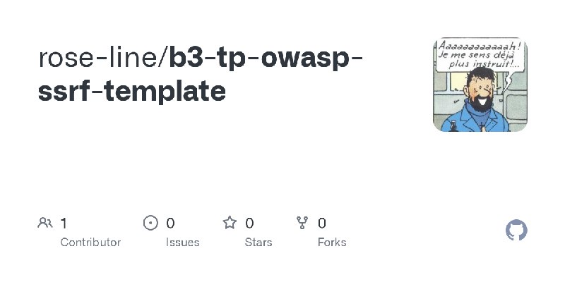 GitHub - rose-line/b3-tp-owasp-ssrf-template