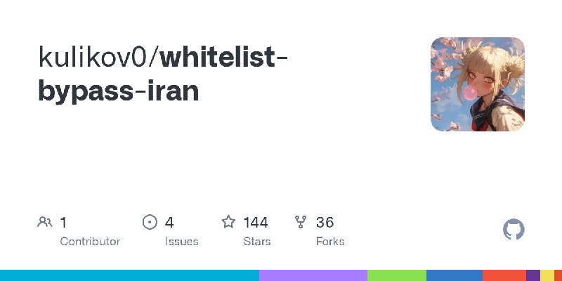 GitHub - kulikov0/whitelist-bypass-iran
