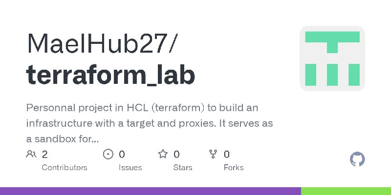 GitHub - MaelHub27/terraform_lab: Personnal project in HCL (terraform) to build an infrastructure with a target and proxies. It…