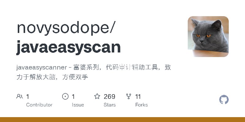 GitHub - novysodope/javaeasyscan: javaeasyscanner - 富婆系列，代码审计辅助工具，致力于解放大脑，方便双手