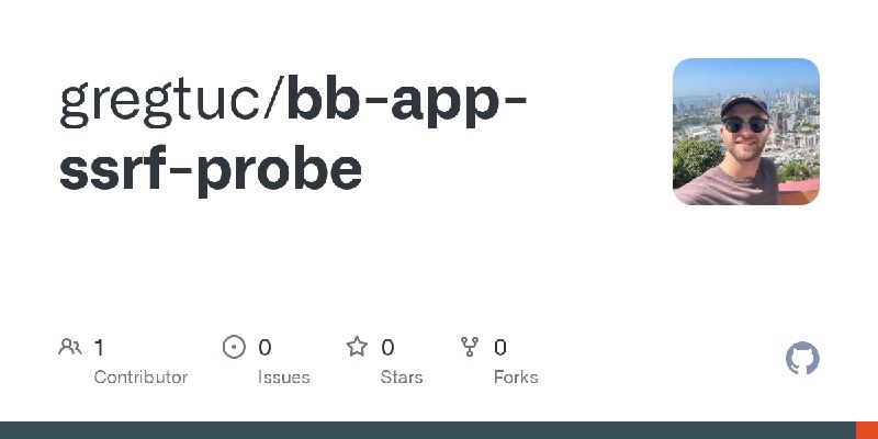 GitHub - gregtuc/bb-app-ssrf-probe