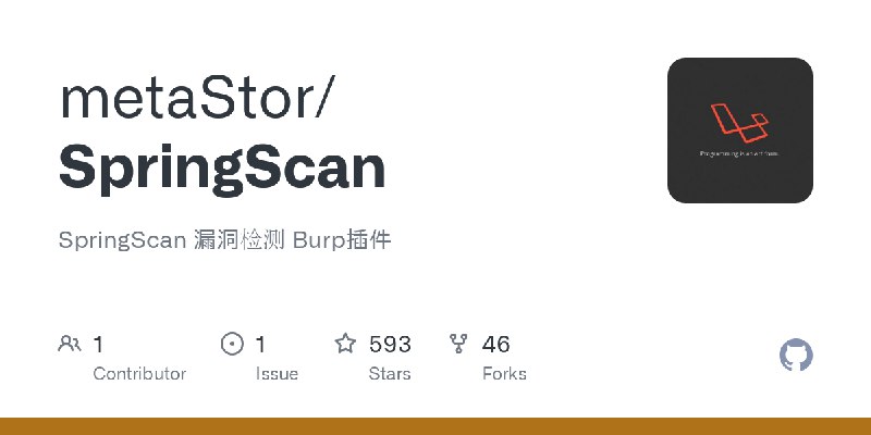GitHub - metaStor/SpringScan: SpringScan 漏洞检测 Burp插件