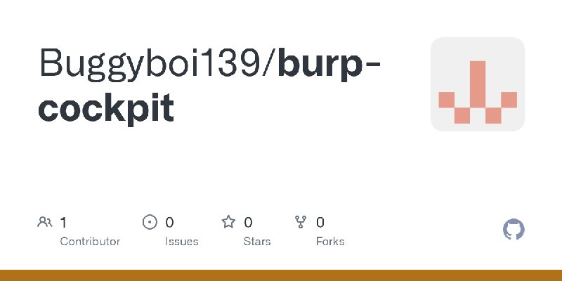 GitHub - Buggyboi139/burp-cockpit