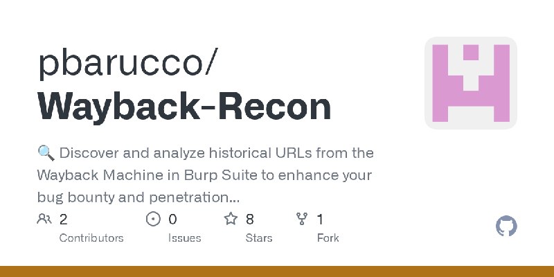 GitHub - pbarucco/Wayback-Recon: 🔍 Discover and analyze historical URLs from the Wayback Machine in Burp Suite to enhance your…