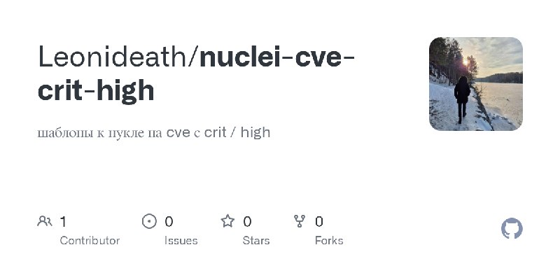 GitHub - Leonideath/nuclei-cve-crit-high: шаблоны к нукле на cve с crit / high