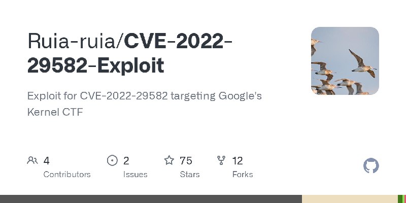 GitHub - Ruia-ruia/CVE-2022-29582-Exploit: Exploit for CVE-2022-29582 targeting Google's Kernel CTF