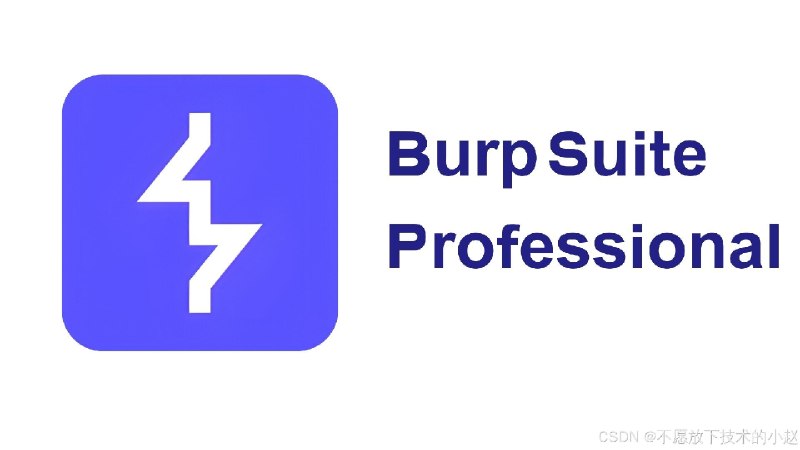GitHub - jsh11dev/Burp-Suite-Professional-License-Key-1-Year
