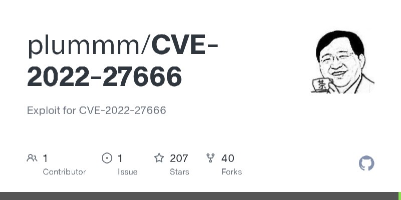 GitHub - plummm/CVE-2022-27666: Exploit for CVE-2022-27666