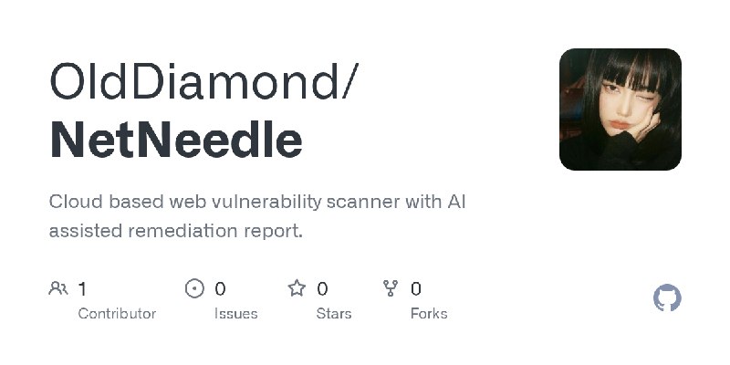 GitHub - OldDiamond/NetNeedle: Cloud based web vulnerability scanner with AI assisted remediation report.