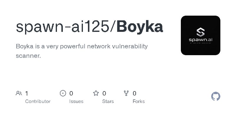 GitHub - spawn-ai125/Boyka: Boyka is a very powerful network vulnerability scanner.
