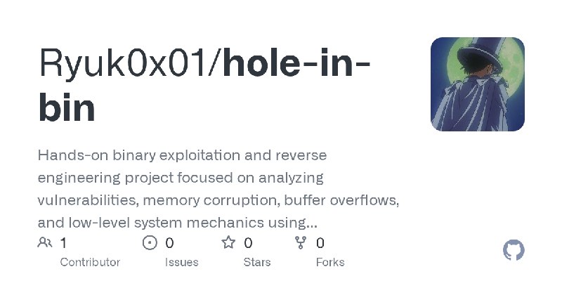 GitHub - Ryuk0x01/hole-in-bin: Hands-on binary exploitation and reverse engineering project focused on analyzing vulnerabilities…