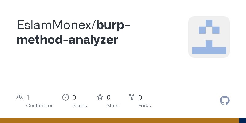 GitHub - EslamMonex/burp-method-analyzer