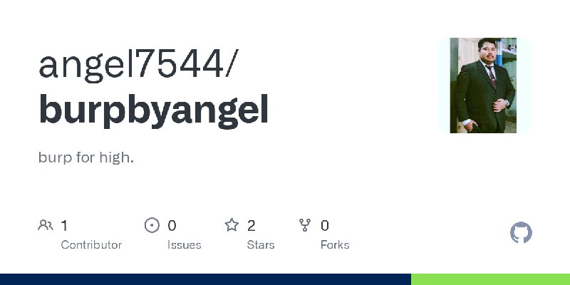 GitHub - angel7544/burpbyangel: burp for high.
