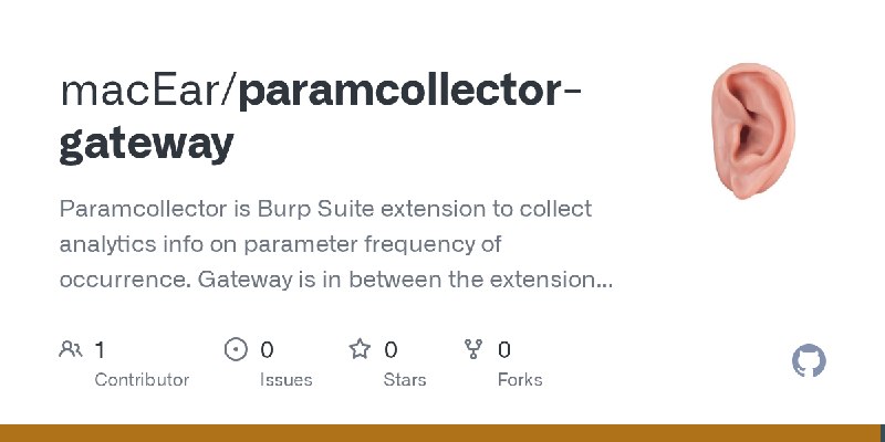 GitHub - macEar/paramcollector-gateway: Paramcollector is Burp Suite extension to collect analytics info on parameter frequency…