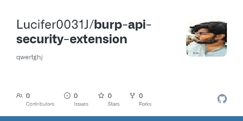 GitHub - Lucifer0031J/burp-api-security-extension: qwertghj