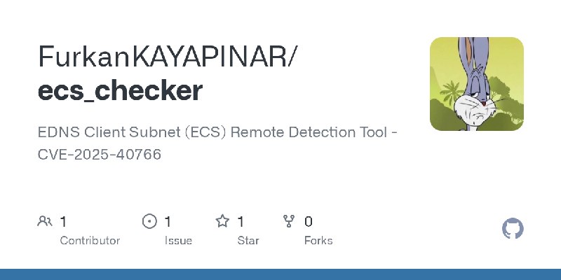 GitHub - FurkanKAYAPINAR/ecs_checker: EDNS Client Subnet (ECS) Remote Detection Tool - CVE-2025-40766