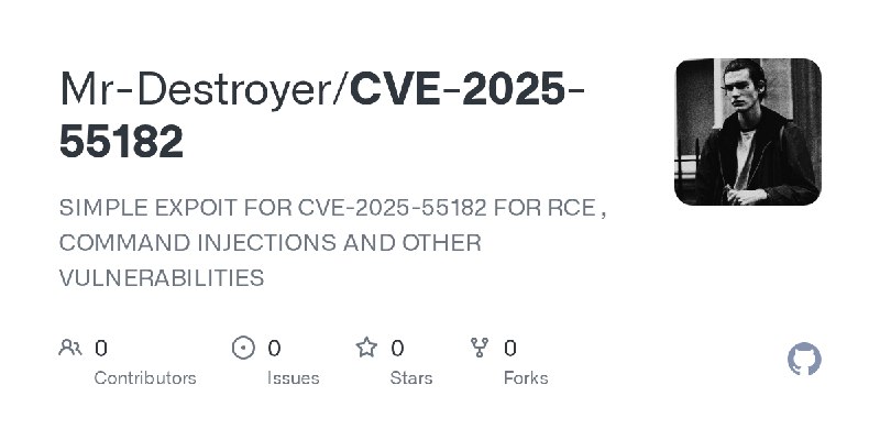 Mr-Destroyer/CVE-2025-55182