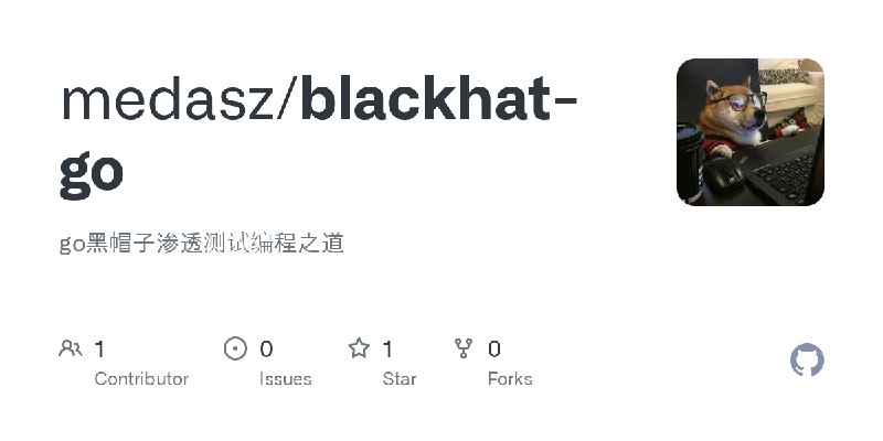 GitHub - medasz/blackhat-go: go黑帽子渗透测试编程之道