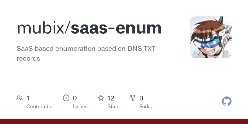 GitHub - mubix/saas-enum: SaaS based enumeration based on DNS TXT records