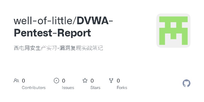 well-of-little/DVWA-Pentest-Report
