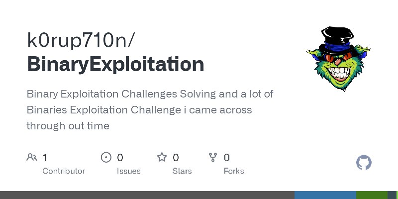 GitHub - k0rup710n/BinaryExploitation: Binary Exploitation Challenges Solving and a lot of Binaries Exploitation Challenge i came…