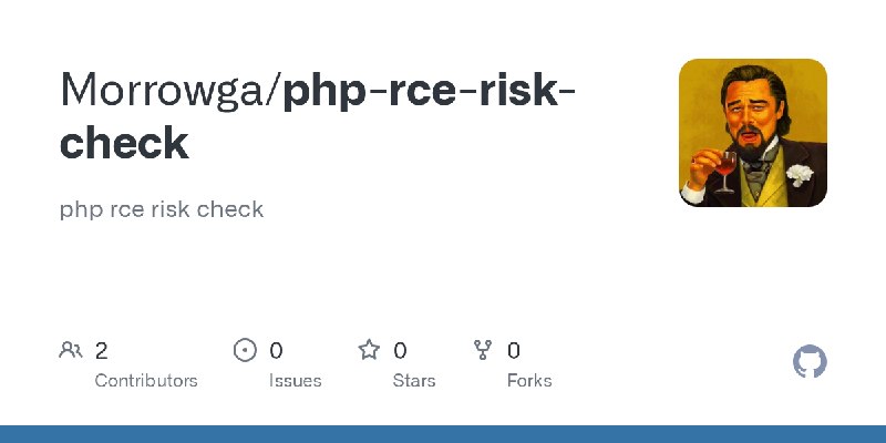 GitHub - Morrowga/php-rce-risk-check: php rce risk check