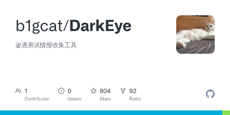 GitHub - b1gcat/DarkEye: 渗透测试情报收集工具
