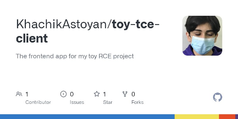 GitHub - KhachikAstoyan/toy-tce-client: The frontend app for my toy RCE project
