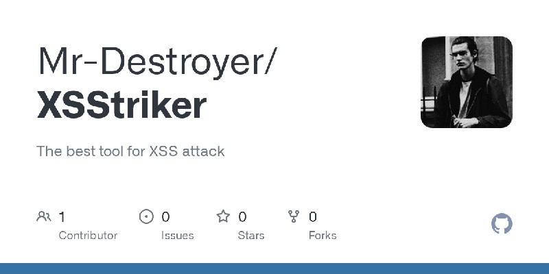 GitHub - Mr-Destroyer/XSStriker: The best tool for XSS attack