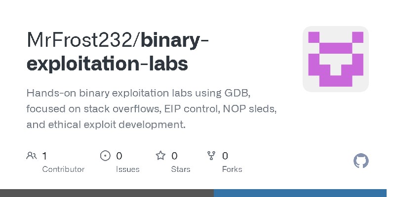 GitHub - MrFrost232/binary-exploitation-labs: Hands-on binary exploitation labs using GDB, focused on stack overflows, EIP control…