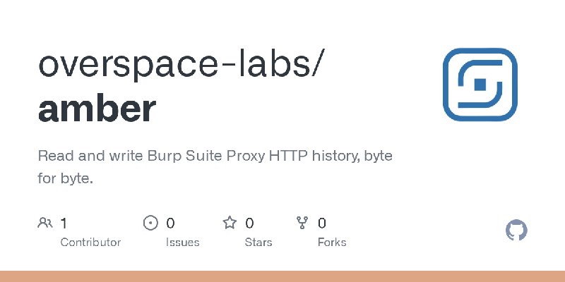 GitHub - overspace-labs/amber: Read and write Burp Suite Proxy HTTP history, byte for byte.
