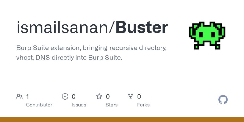 GitHub - ismailsanan/Buster: Burp Suite extension, bringing recursive directory, vhost, DNS directly into Burp Suite.