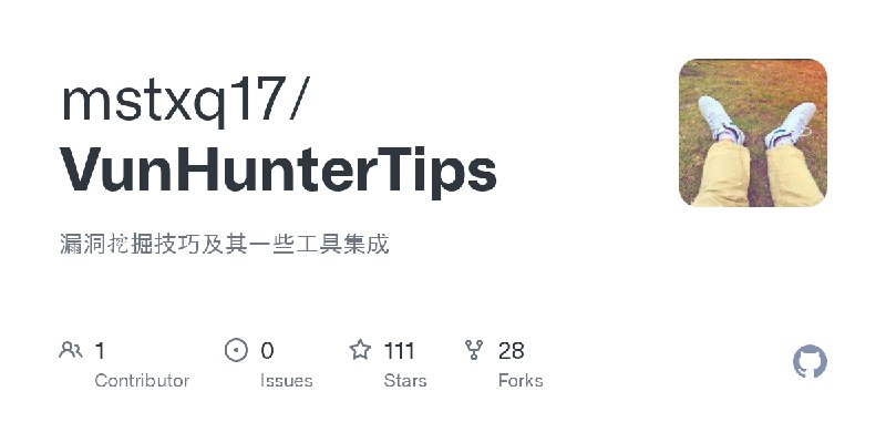GitHub - mstxq17/VunHunterTips: 漏洞挖掘技巧及其一些工具集成