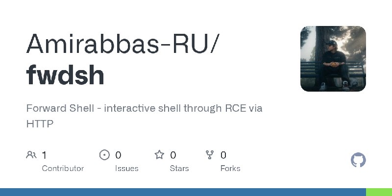 GitHub - Amirabbas-RU/fwdsh: Forward Shell - interactive shell through RCE via HTTP