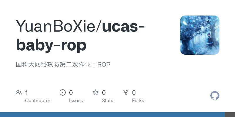 GitHub - YuanBoXie/ucas-baby-rop: 国科大网络攻防第二次作业：ROP