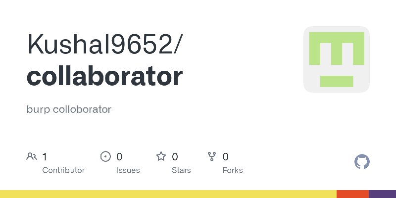 GitHub - Kushal9652/collaborator: burp colloborator