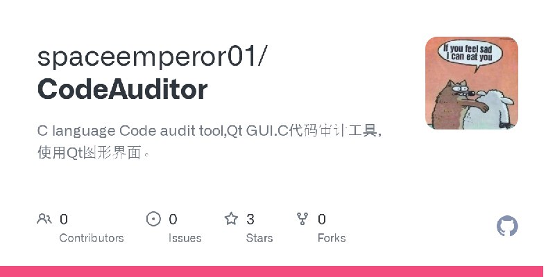 GitHub - spaceemperor01/CodeAuditor: C language Code audit tool,Qt GUI.C代码审计工具，使用Qt图形界面。